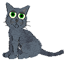 Hi!!! I'm Midnight the Russian Blue
