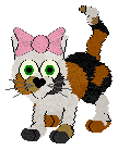 Hello!!! I'm Patches the Calico