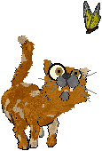 The tough but lovable alley cat