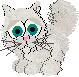 The cuddly chinchilla persian