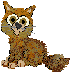 The jumpy orange shorthair