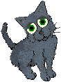 The placid Russian blue