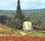 Cabanon