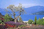 Lake in Verdon