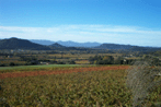Massif des Maures