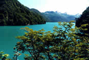 Lago Cisne