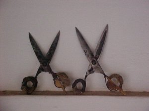 foto13.jpg