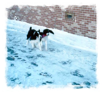 Bob and Trudy