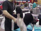 Bob Lacroix & a Danny Daughter