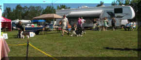 VeteranDogclass.JPG (23196 bytes)