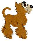 Tugger is a sweetheart, isn't he? Once again, I adopted him from Poochie's Pooches but he's naturally bred, with hexed background. 
