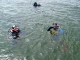 DSCF0634