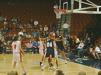 Traffic Under the Basket