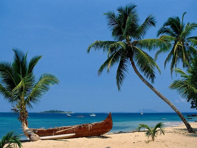 tropical boat