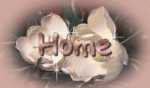 apinhome.gif (12772 bytes)