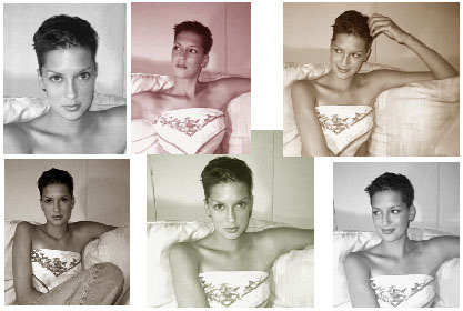 Ms. Amanda Elhusseini - photographer - Pam Hunter