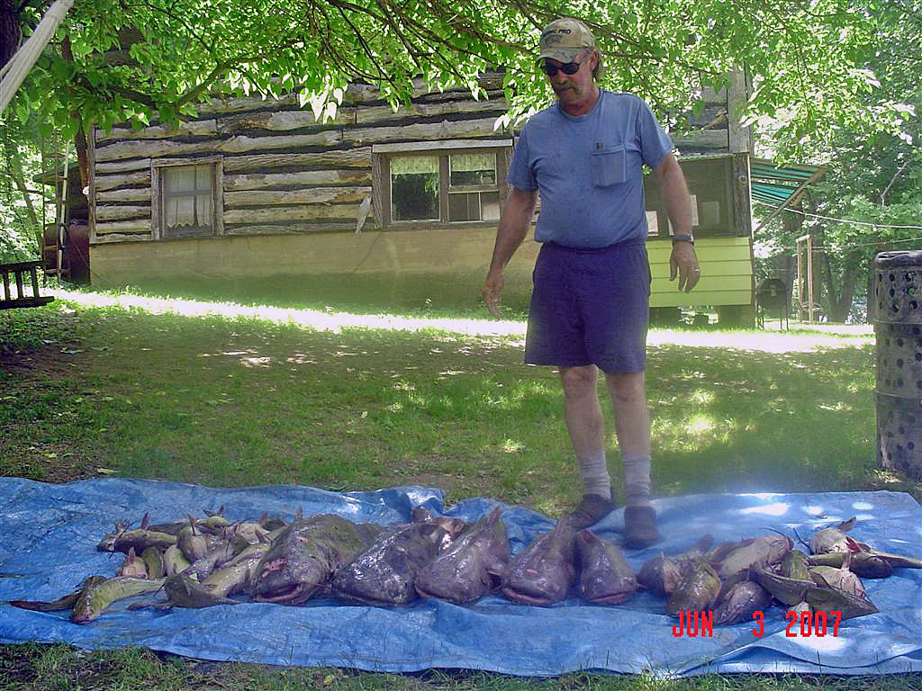 Catfish_after.jpg (247525 bytes)