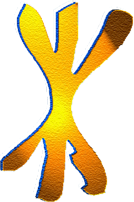 logoventall.gif (35119 bytes)
