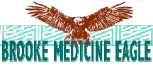 brookmedicine.gif (10228 bytes)