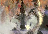 show1.gif (303877 bytes)