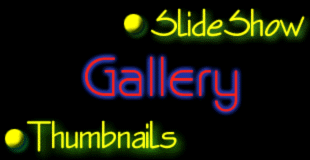 Choose SlideShow or Thumbnails