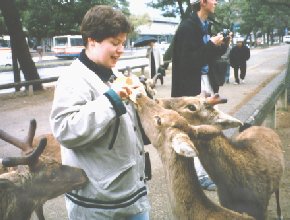L. and deer, Nara, Todaiji Temple
