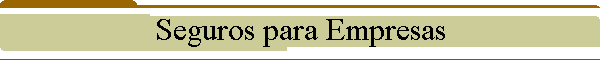 Seguros para Empresas