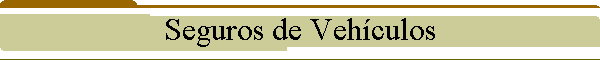 Seguros de Vehculos