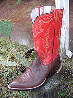 Chocolate Bullhide Boot w/Red Water Buffalo Top & Verigated Tulip Stitch