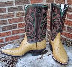 Full Quill Ostrich w/Six row White, Orange, and Neon Green