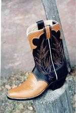 2pc. Vamp w/Collar Boot