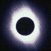 81.gif (9051 bytes)
