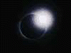 94j.gif (4433 bytes)