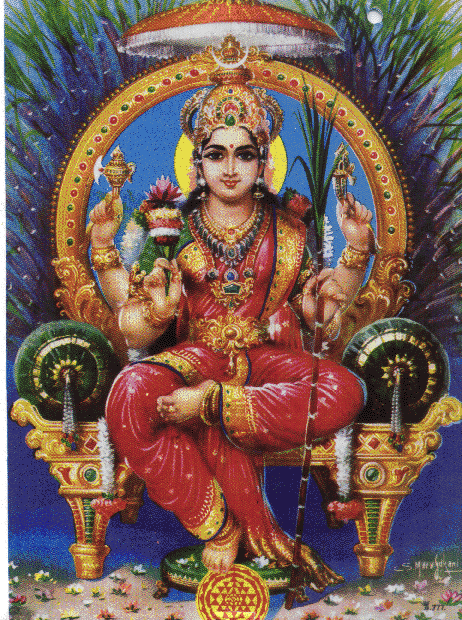 Gauri
