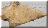 Right1.gif (4101 bytes)