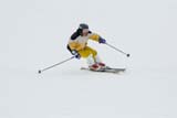 Down Hill Racer
