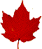 leaf picture