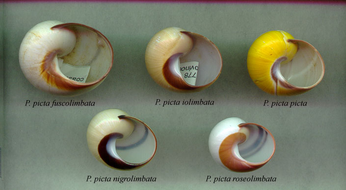 aperturekeyA.jpg (48803 bytes)