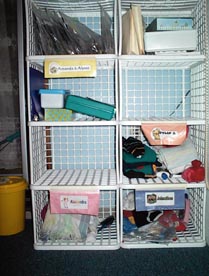/user/cubbypic.jpg