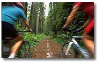 mountain bike