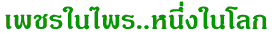Image Loading...