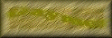 Link button