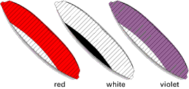 COLORS_FRANTIC_TWIN.GIF (4949 bytes)