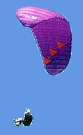 Prima3
