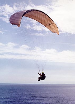 f39.jpg (19411 bytes)