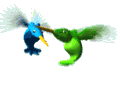 Humming birds hovering