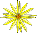 sunflower.gif (3064 bytes)