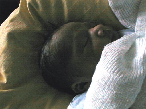 shayan04.jpg (28603 bytes)