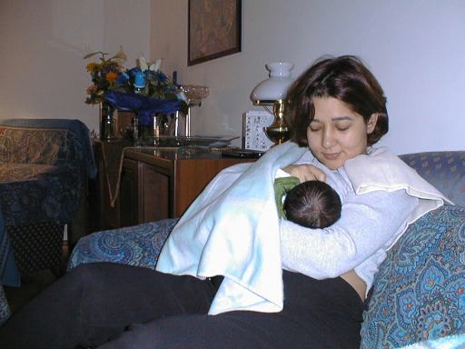 shayan07.jpg (30206 bytes)