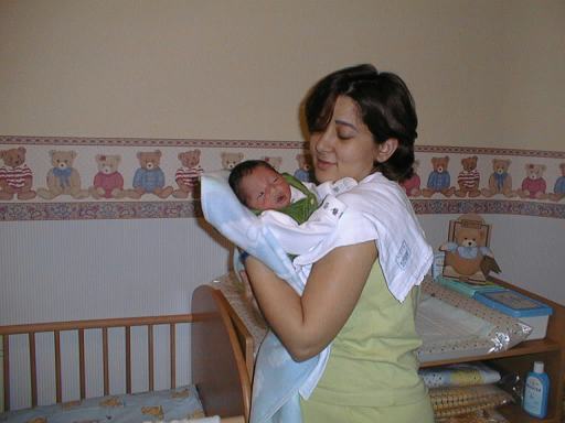 shayan08.jpg (25559 bytes)